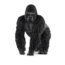 Gorilla Männchen