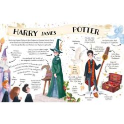 Alternative view of Potter Guides: Harry Potter